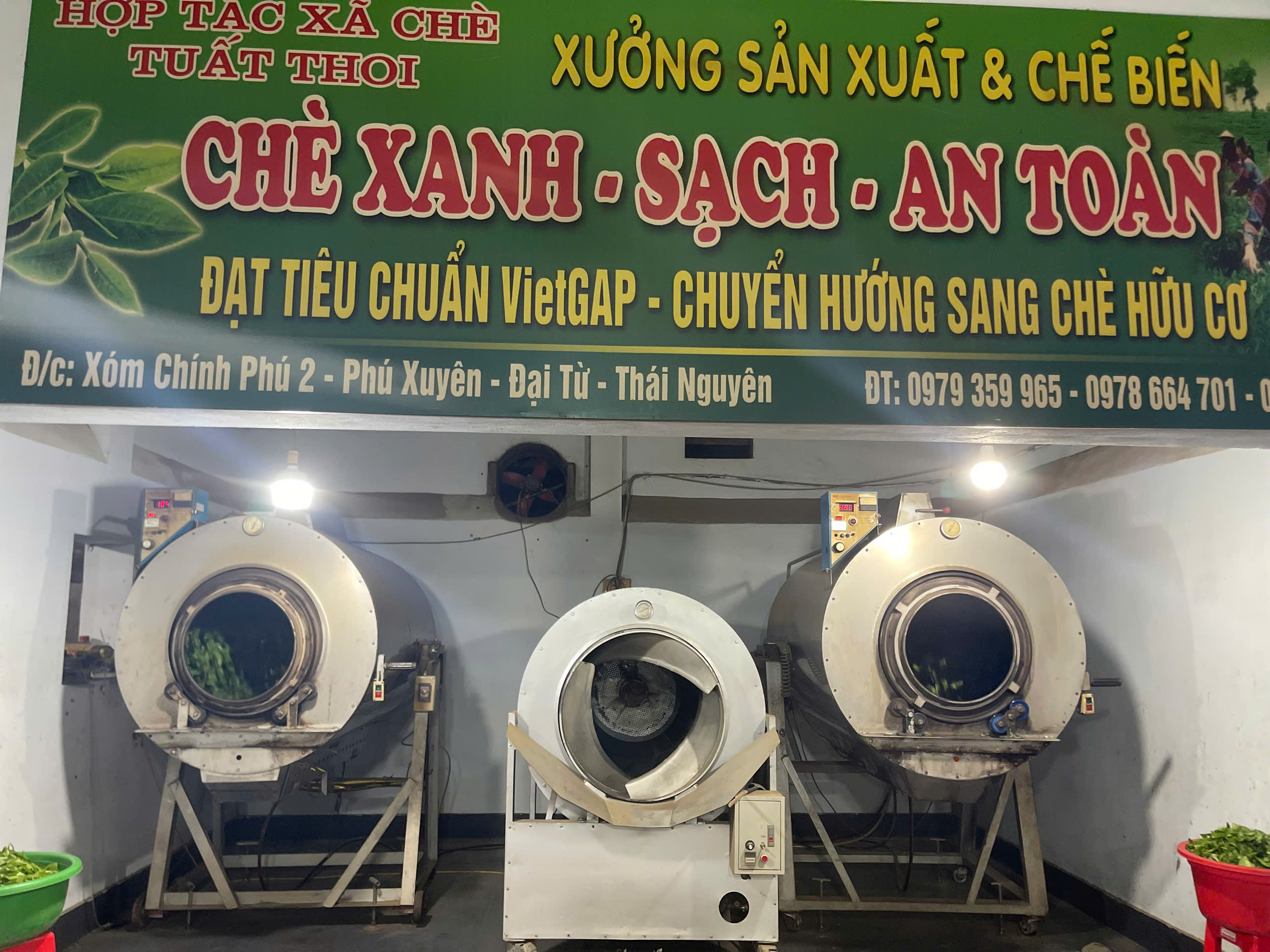 Xưởng sao chè sạch VietGAP