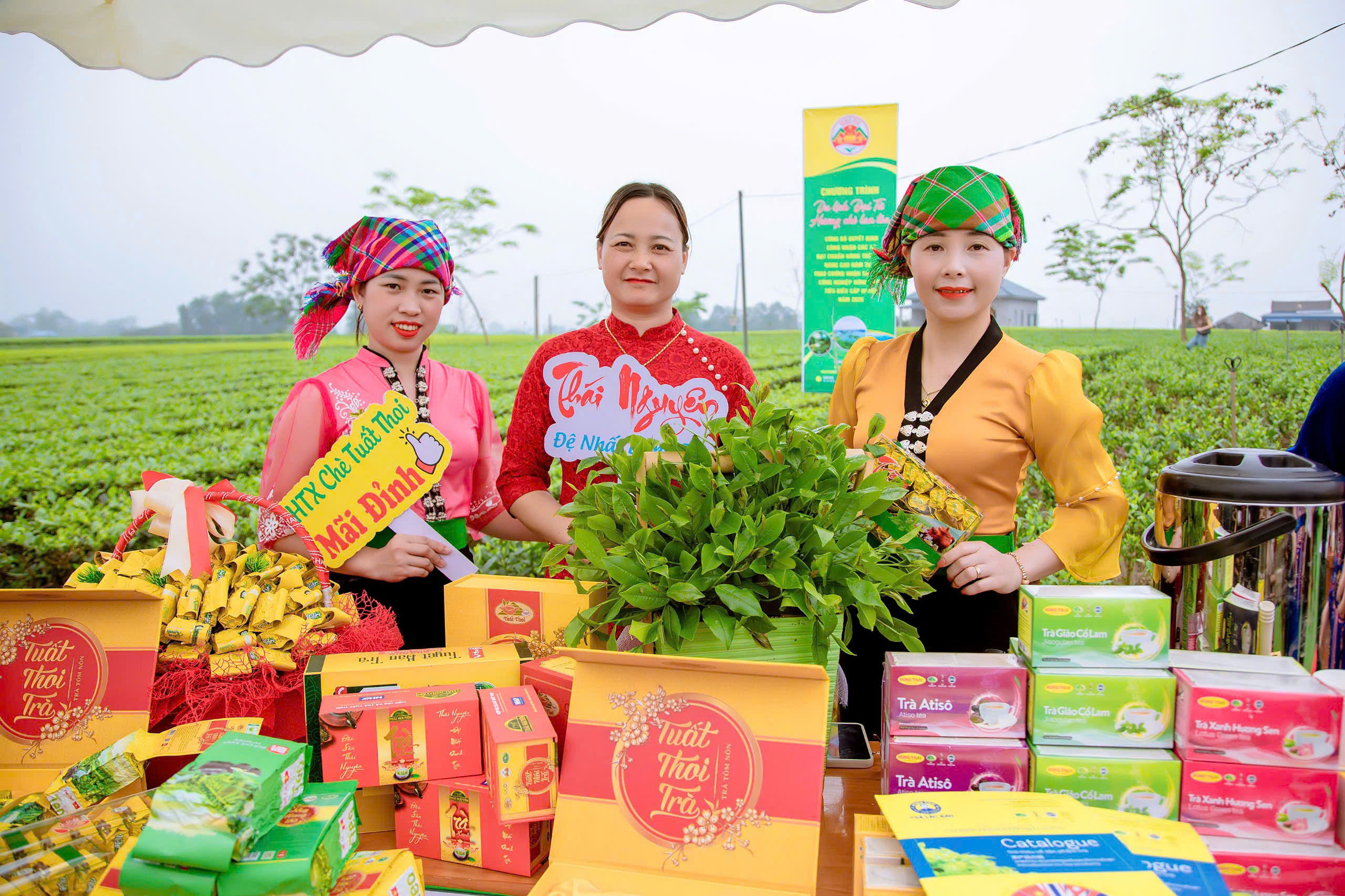 Gian hàng Trà Tuất Thoi