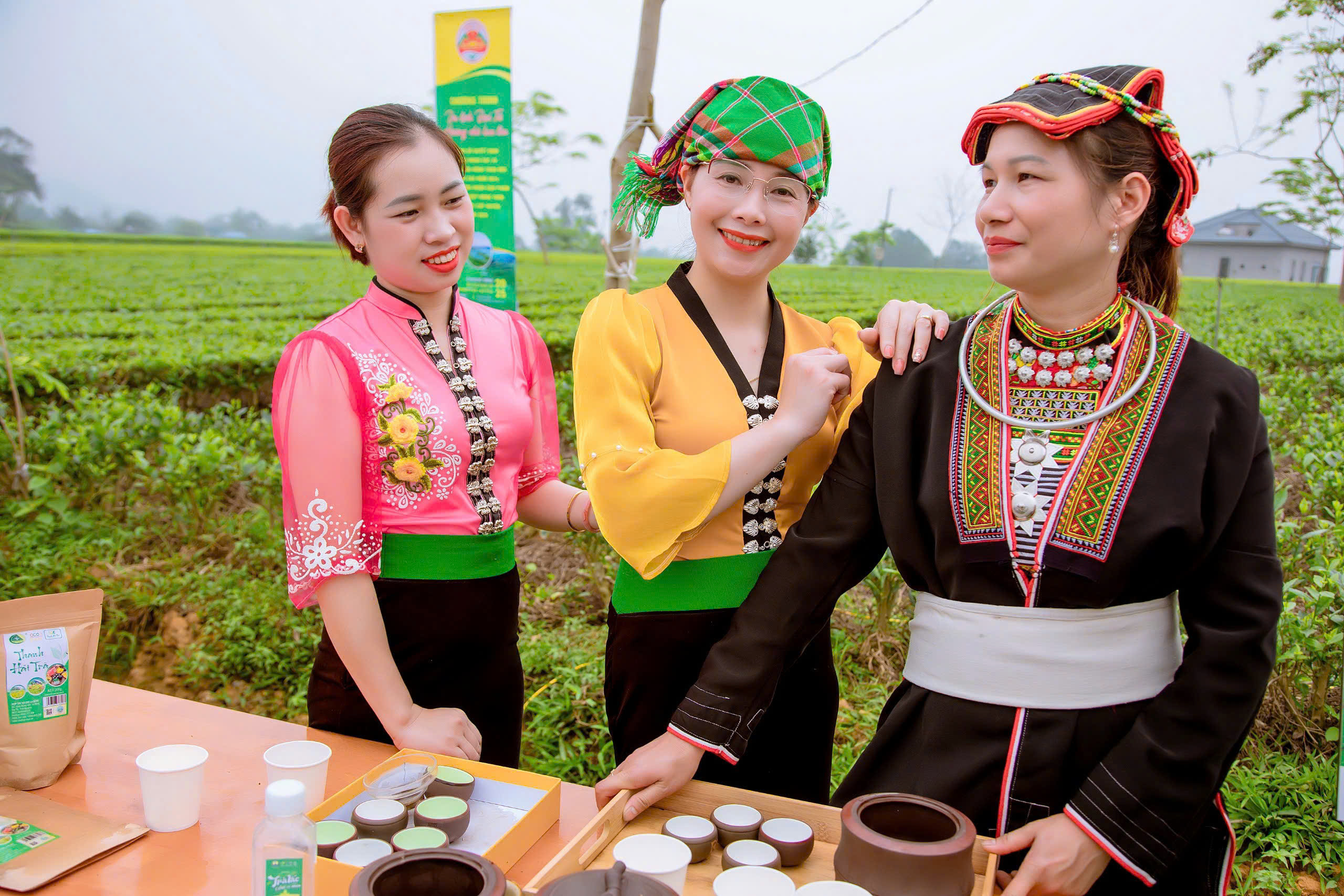 Hái chè tại đồi chè Phú Xuyên